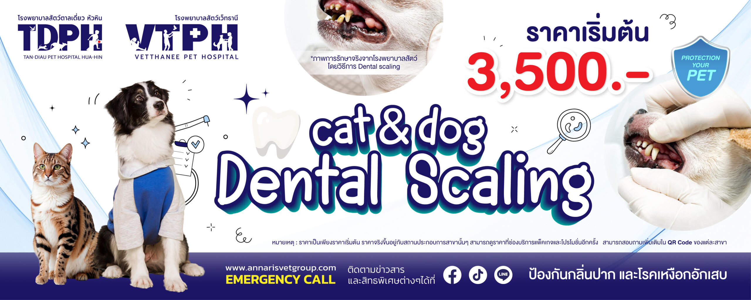 AW PACKAGE 200x800 DENTAL-01
