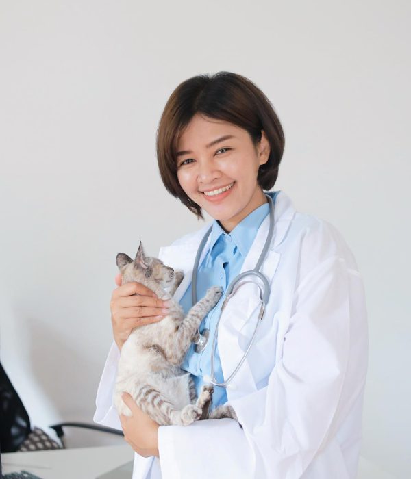asian-veterinary-doctor-using-stethoscope-examining-cute-kitten-clinic