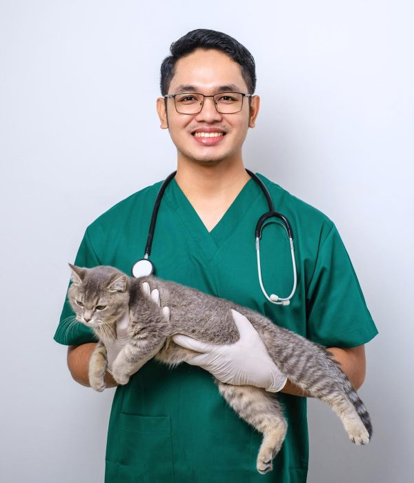 smiling-asian-vet-wearing-green-scrubs-stethoscope-holding-cat